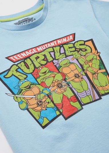 Kids Blue Teenage Mutant Ninja Turtle Print T-Shirt (5-12yrs)