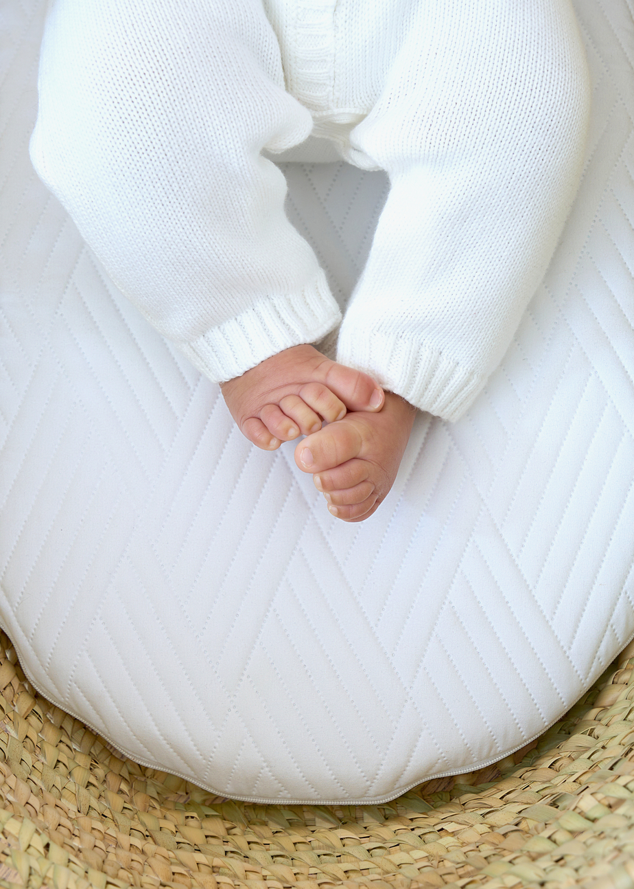 Clair de Lune Quilted Microfibre Palm Moses Basket/Noah Pod Mattress