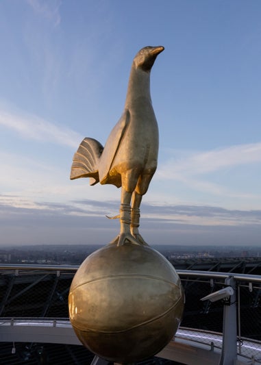 Virgin Experience Days The Dare Skywalk for Two at Tottenham Hotspur Stadium