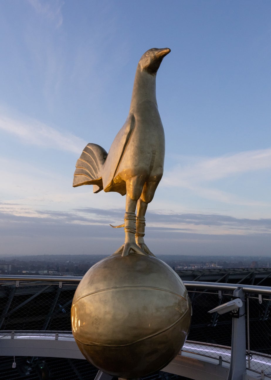 Virgin Experience Days The Dare Skywalk for Two at Tottenham Hotspur Stadium