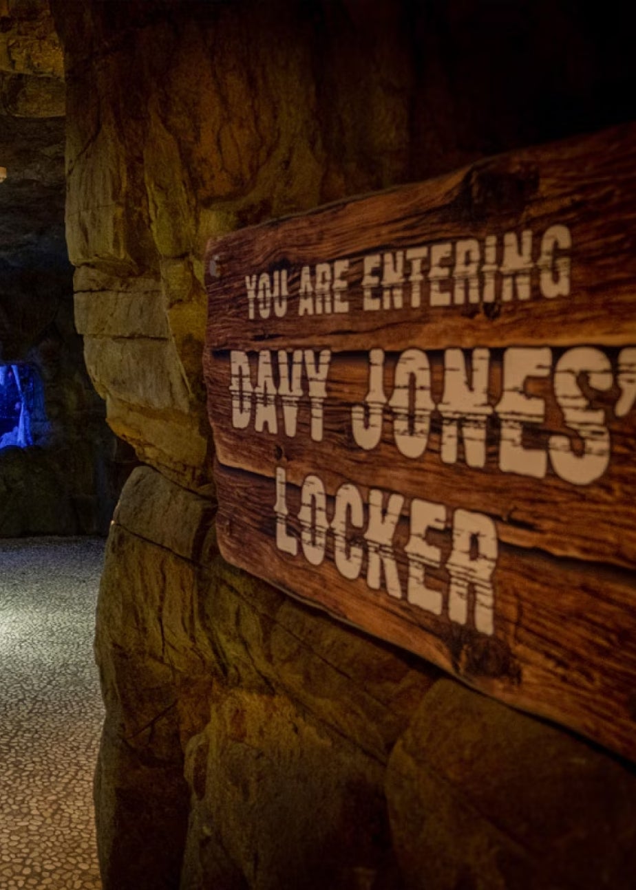 Virgin Experience Days Junior Snorkel with Baby Sharks at Skegness Aquarium