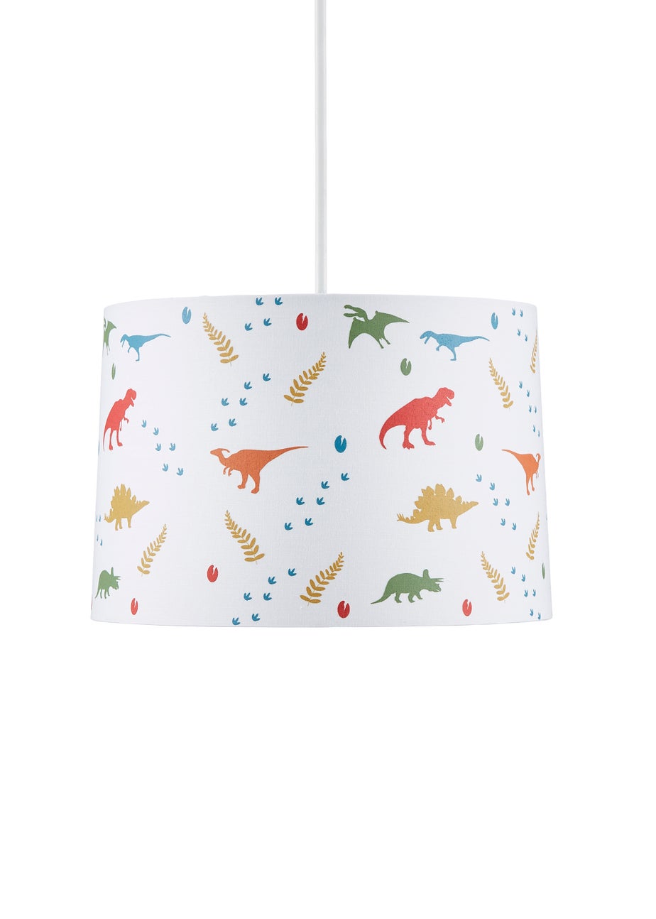 Glow Dinosaur Glow In The Dark Shade (20cm x 30cm)