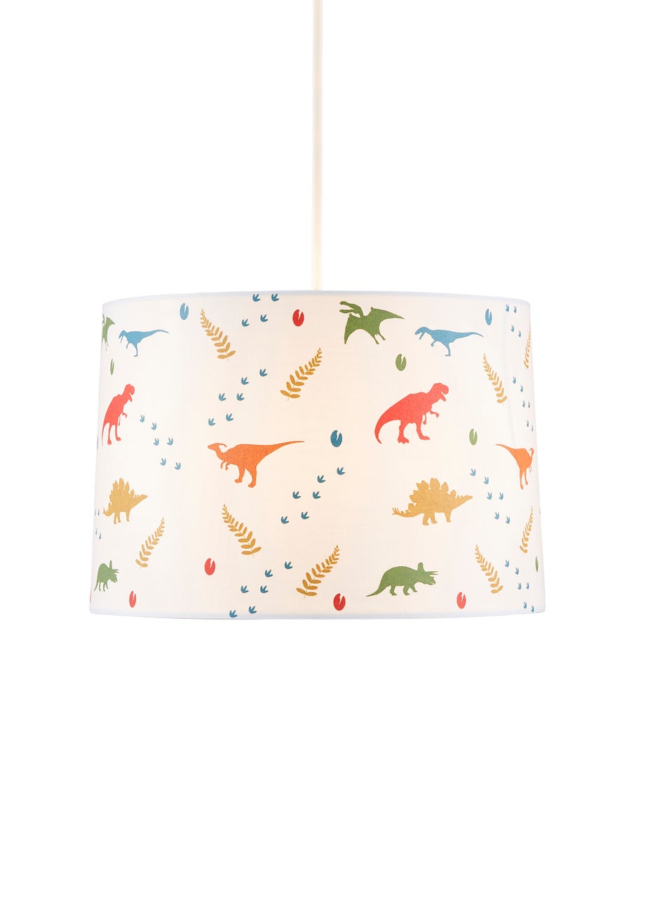 Glow Dinosaur Glow In The Dark Shade (20cm x 30cm)