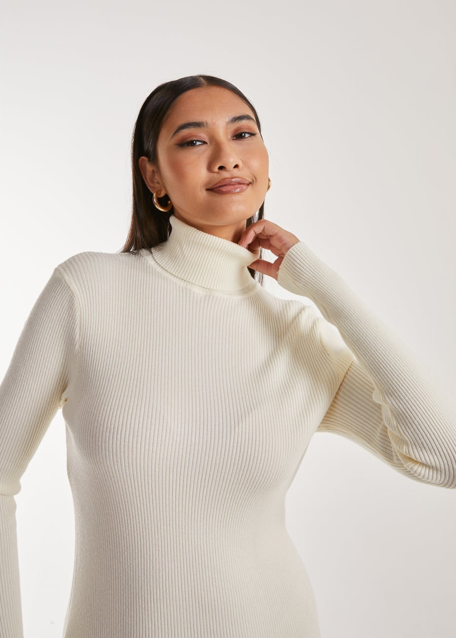 Pink Vanilla Stone Ribbed Roll Neck Midi Dress