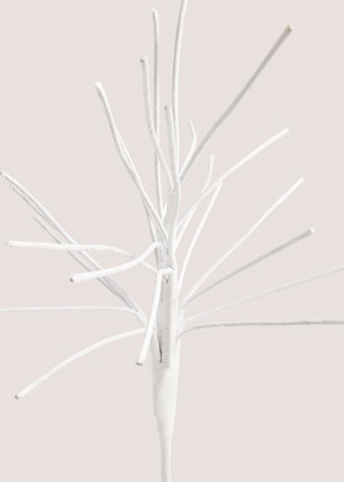White Twig Tree