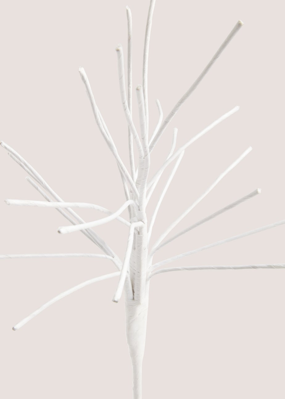 White Twig Tree