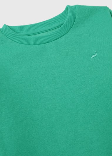 Boys Green Sweatshirt & Joggers Set (1-6yrs)