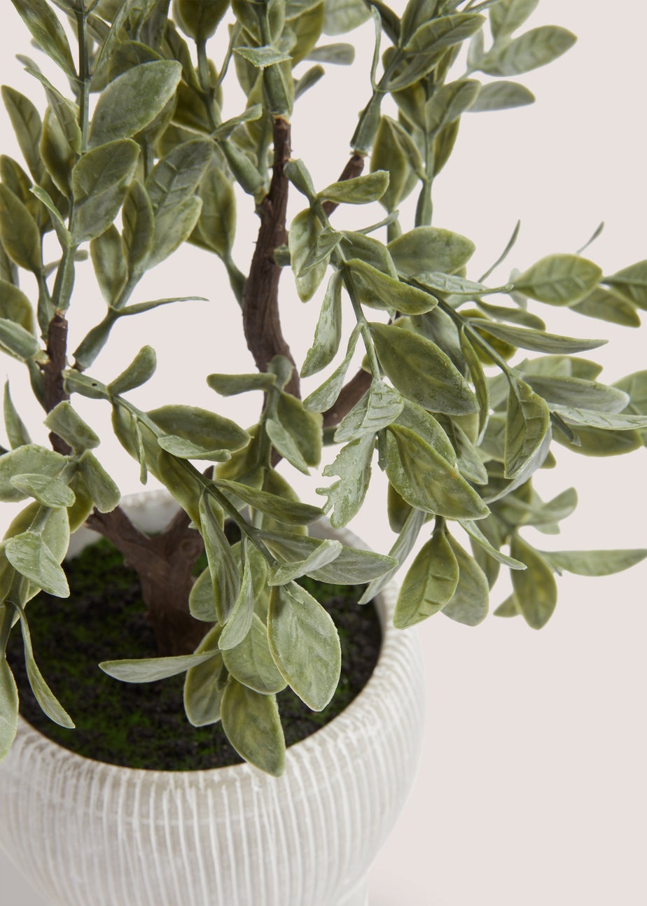 Bonsai Tree in White Pot (33cm x 21cm x 27cm)