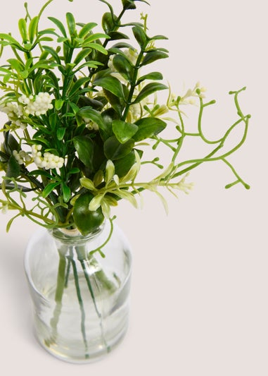 Stems in Glass Vase (20cm x 26cm x 17cm)