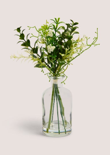 Stems in Glass Vase (20cm x 26cm x 17cm)