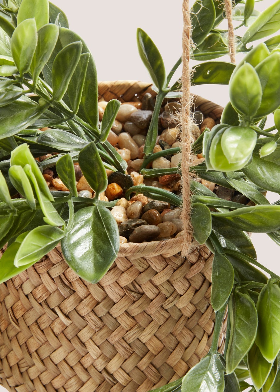 Woven Retreat Hanging Plant (71cm x 11cm x 11cm)