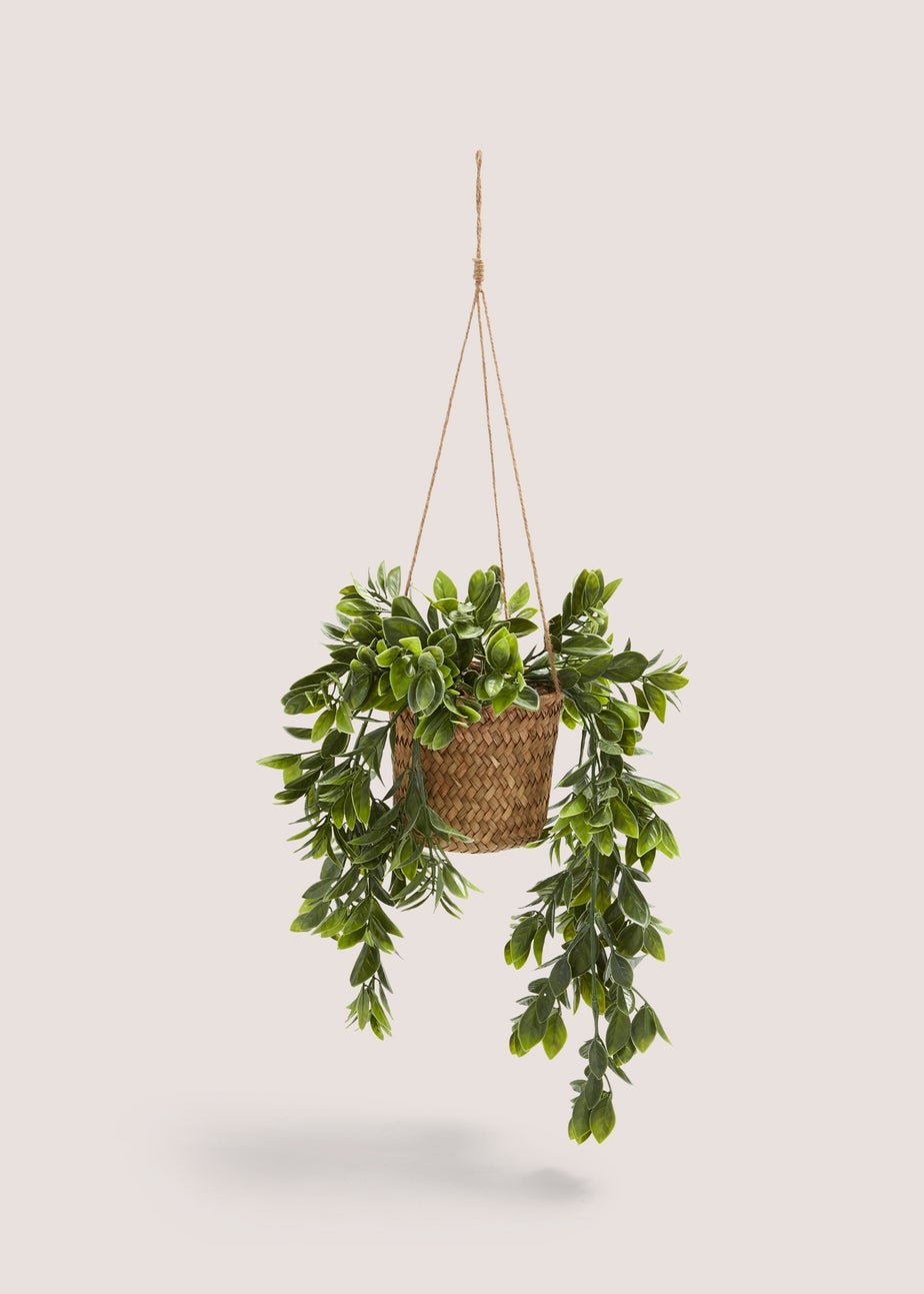 Woven Retreat Hanging Plant (71cm x 11cm x 11cm)