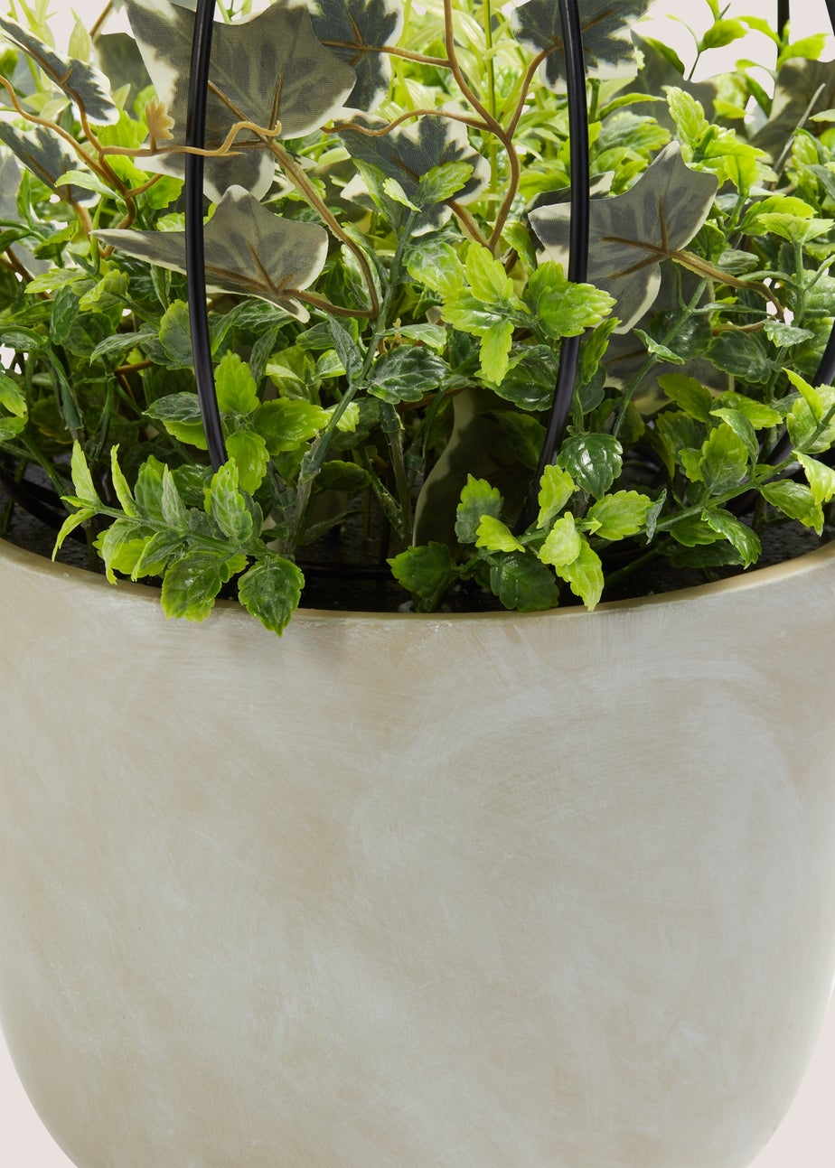 Green Arrangement in Cement Pot (35cm x 35cm x 48.5cm)