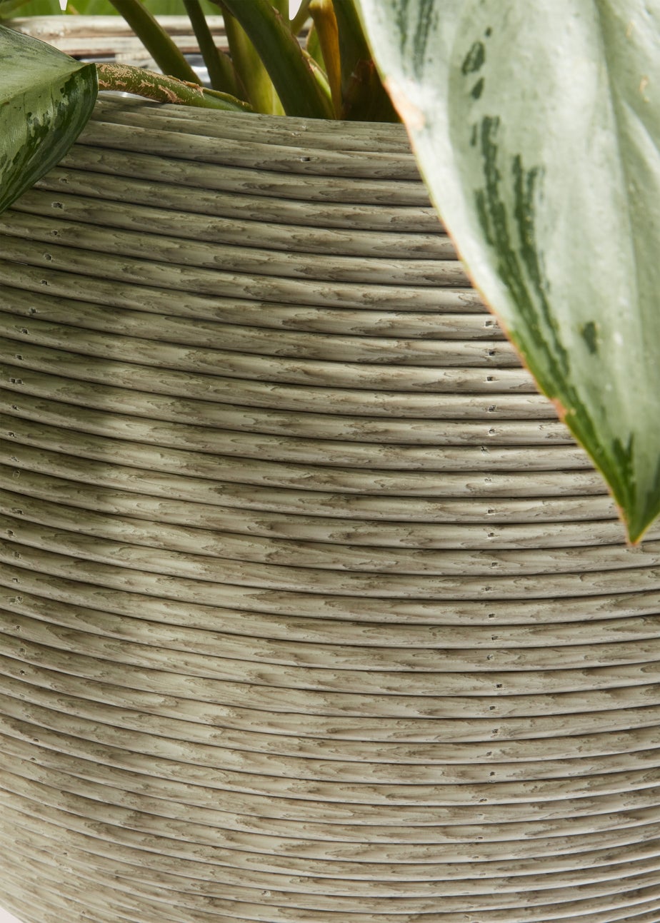 Outdoor Cream Plastic Woven Planter (30cm x 30cm x 60cm)