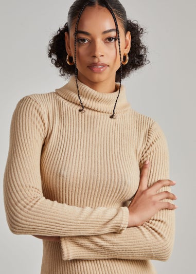 Pink Vanilla Cream Chunky Brushed Rib Roll Neck Dress