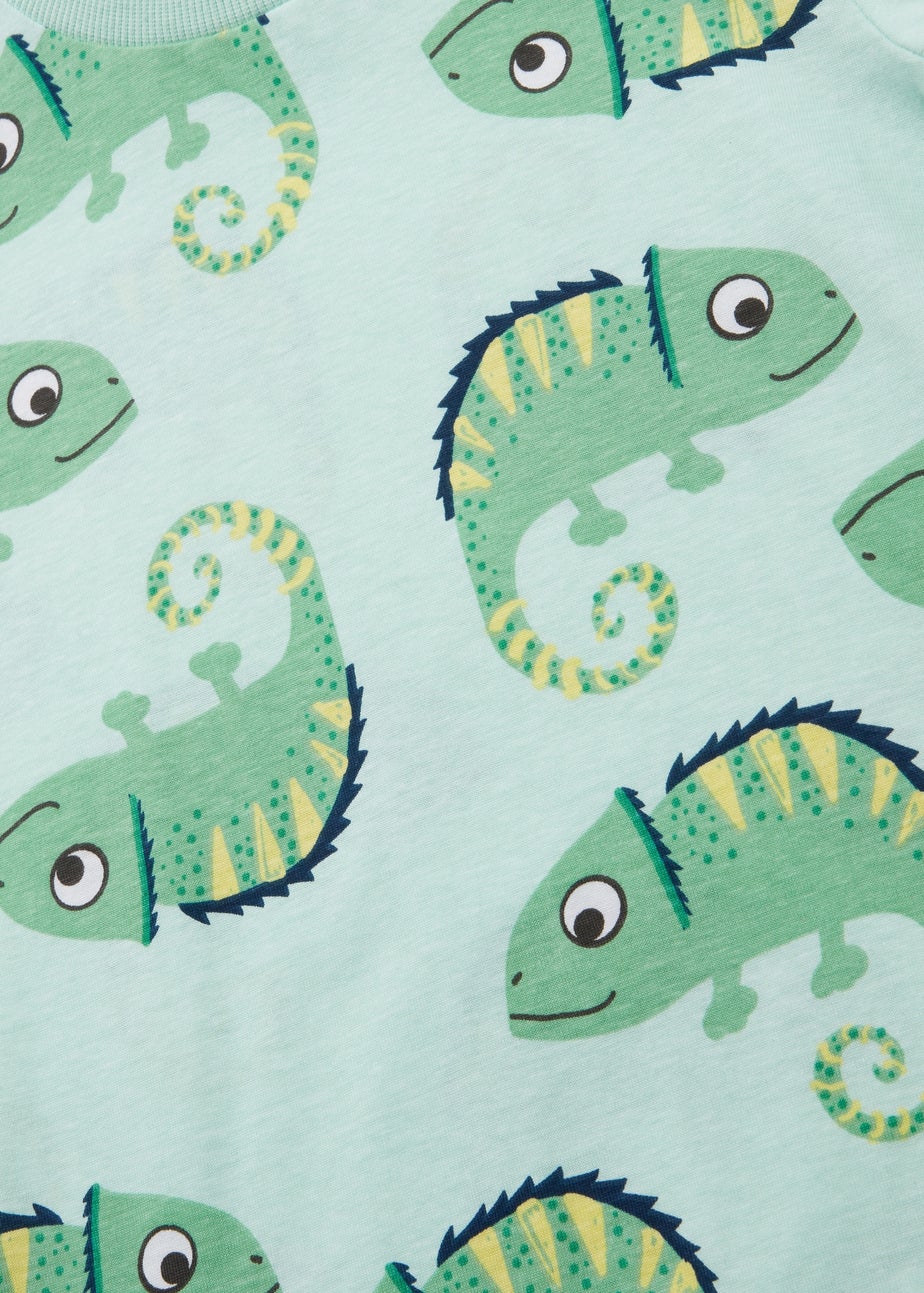 Boys Mint Chameleon Print T-Shirt ( 1-7yrs)