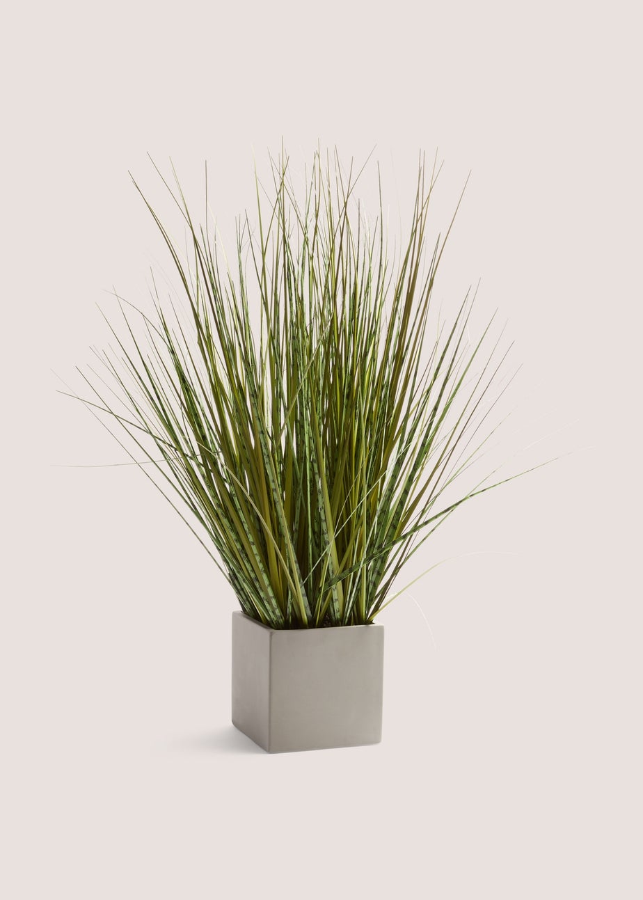 Grey Pot With Grass