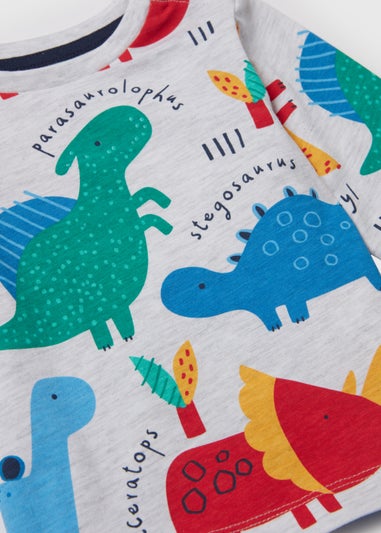 Boys Grey Marl Dinosaur Print Long Sleeve T-Shirt (Newborn-23yrs)
