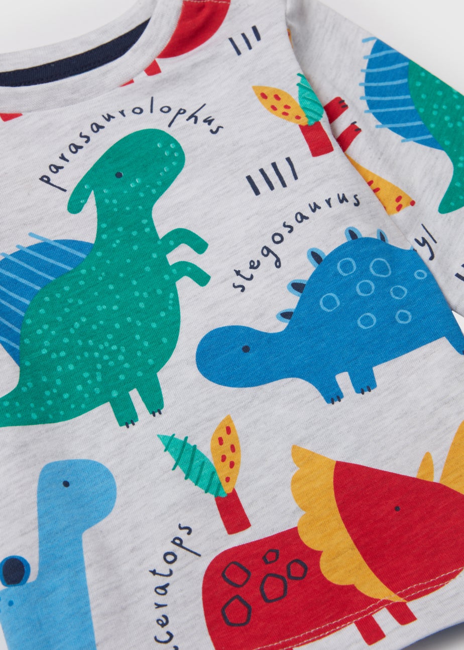 Boys Grey Marl Dinosaur Print Long Sleeve T-Shirt (Newborn-23yrs)