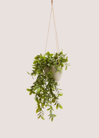 Hanging Plastic Plant Pot
