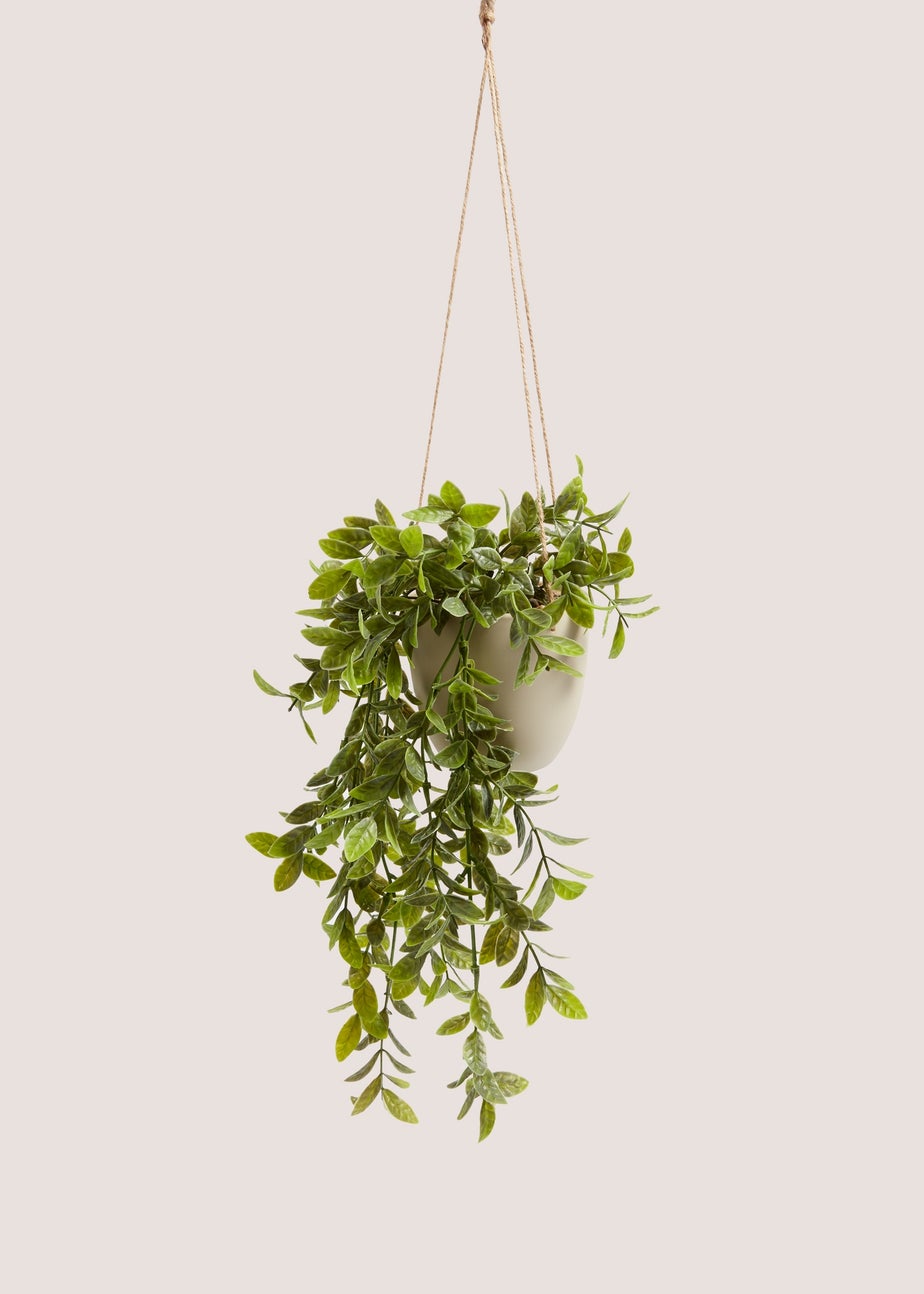 Hanging Plastic Plant Pot