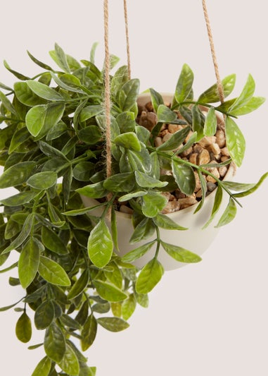 Hanging Plastic Plant Pot