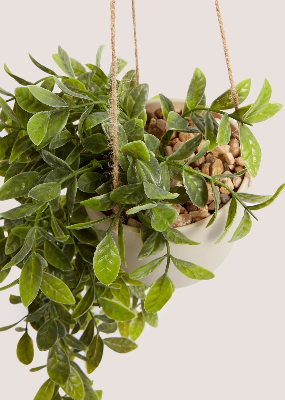 Hanging Plastic Plant Pot