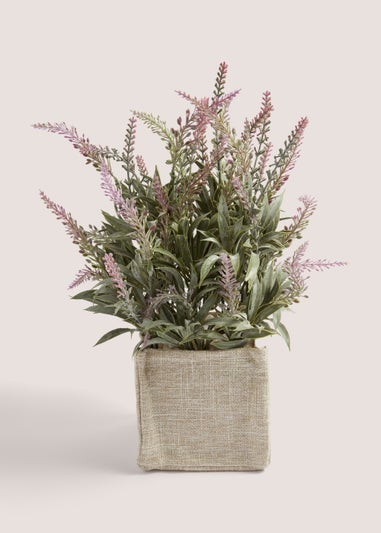 Lavender In Woven Pot (36cm x 11cm x 11cm)