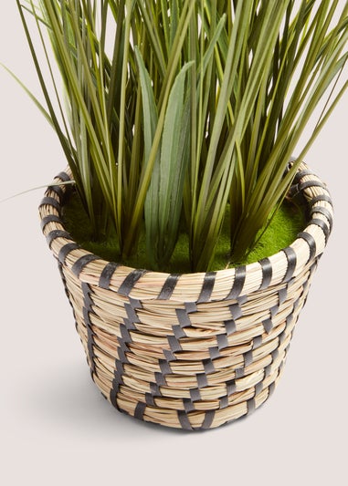 Faux Plant in Casa Woven Pot (40cm x 30cm x 30cm)