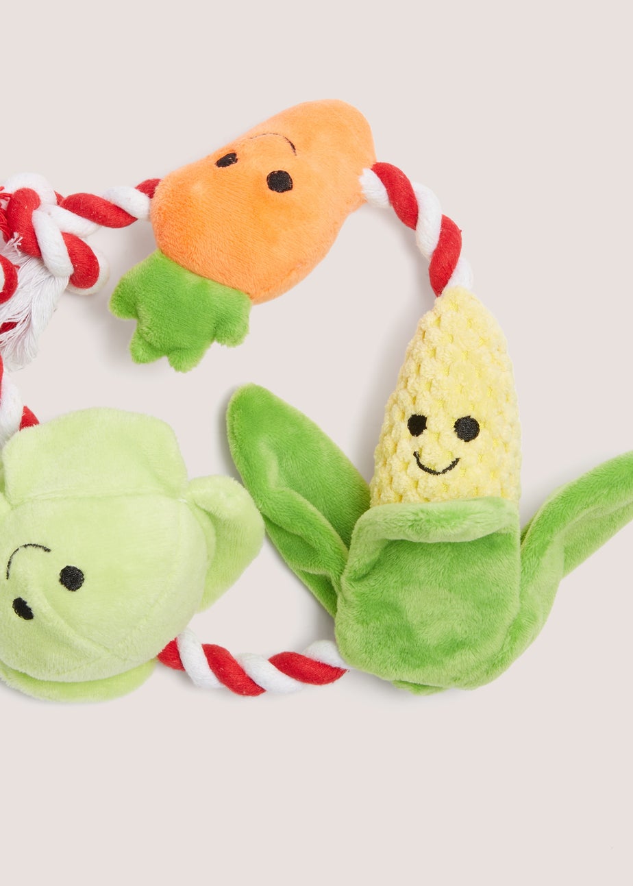 Vegetable Rope Dog Toy (50cm x 10cm)
