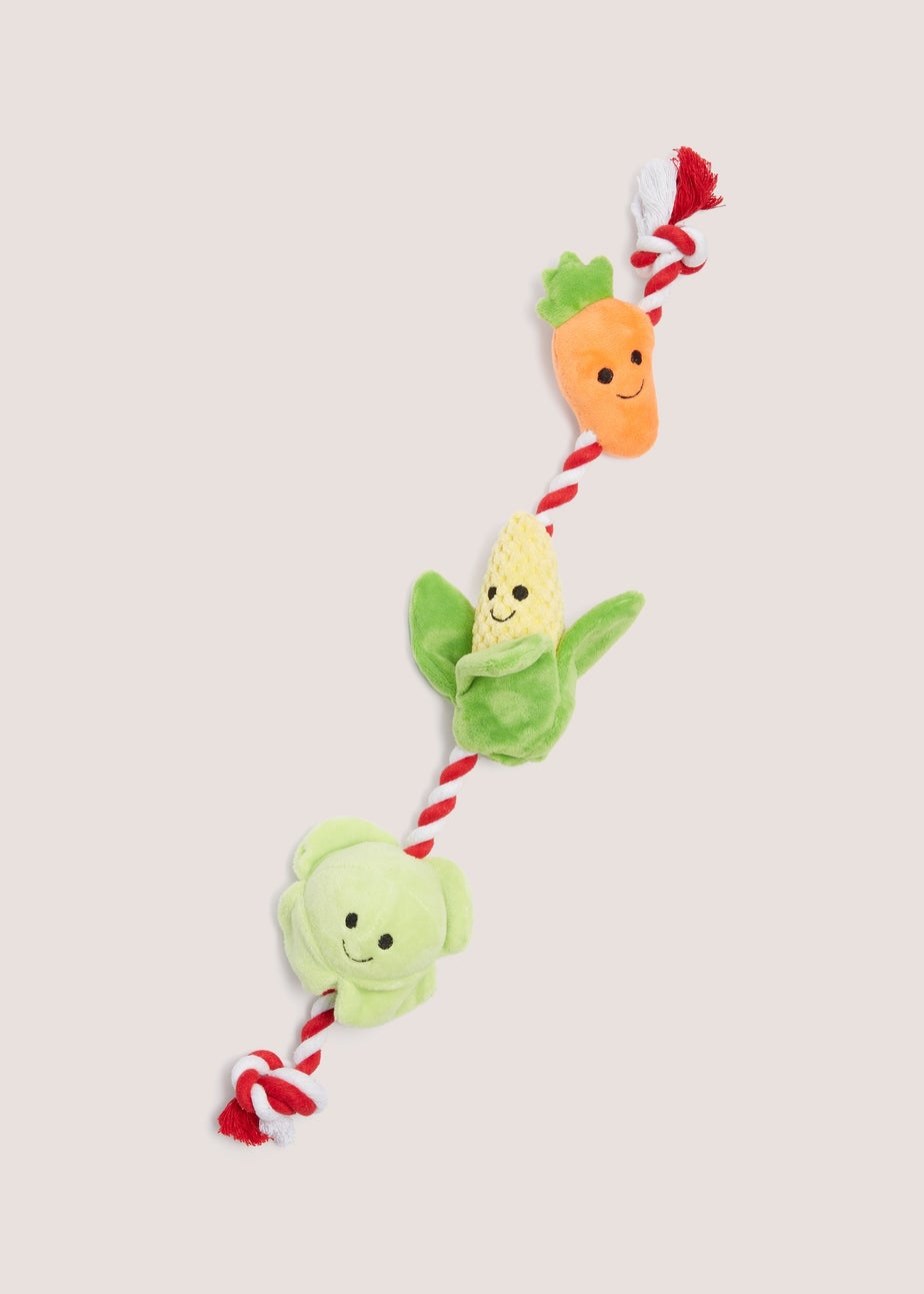 Vegetable Rope Dog Toy (50cm x 10cm)
