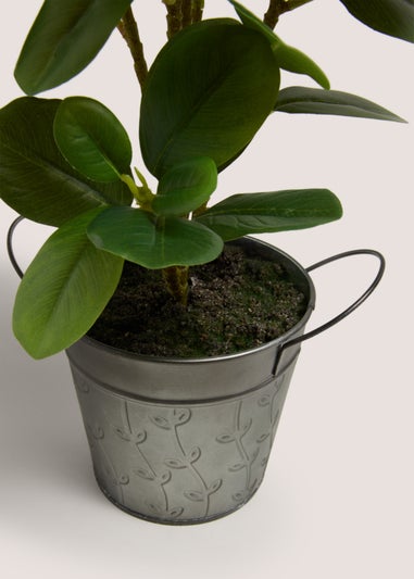Leafy Plant in Silver Pot (18cm x 18cm x 42cm)