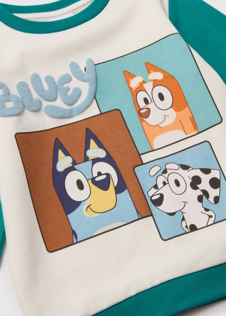 Boys Bluey Green Colour Block Sweatshirt (18mths-6yrs)