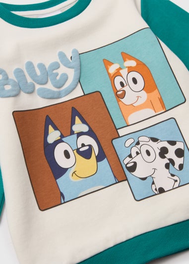 Boys Bluey Green Colour Block Sweatshirt (18mths-6yrs)