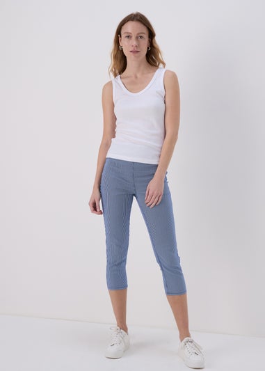 Blue Rosie Stripe Crop Jeggings