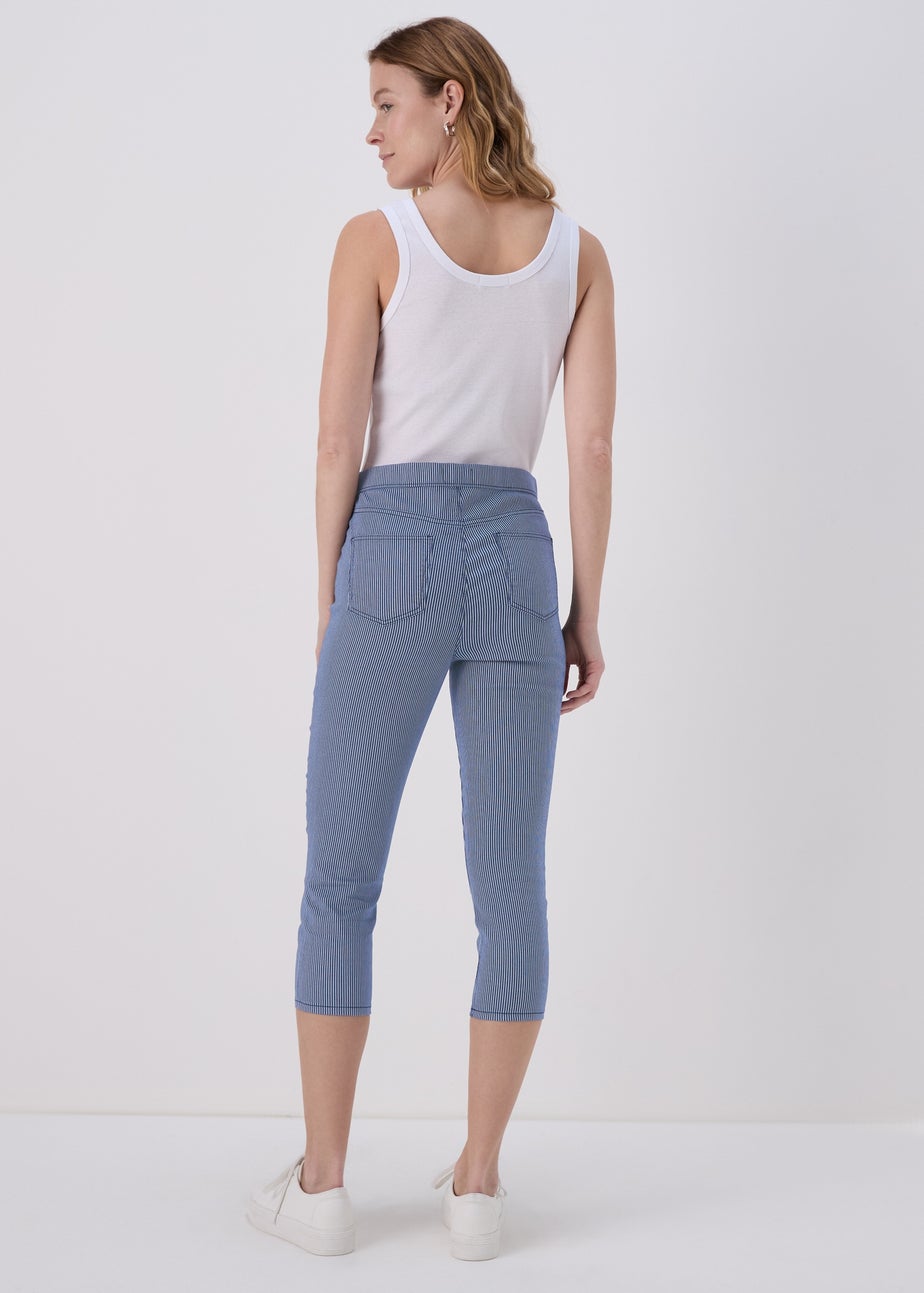 Blue Rosie Stripe Crop Jeggings