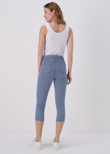Blue Rosie Stripe Crop Jeggings