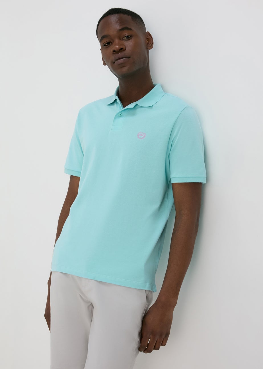 Pale Blue Solid Polo Shirt