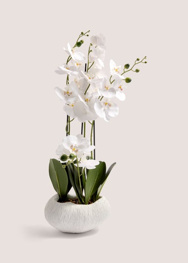 Orchid In Resin Shell Pot (41cm x 31cm x 70cm)