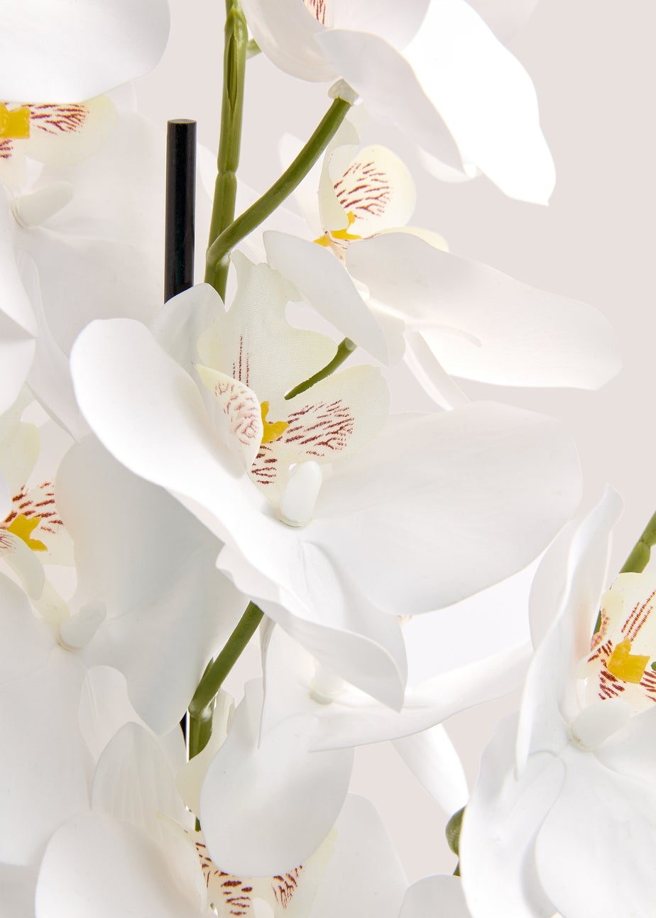 Orchid In Resin Shell Pot (41cm x 31cm x 70cm)