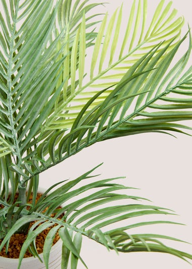 Palm Ribbed Ceramic Pot (60cm x 50cm x 50cm)