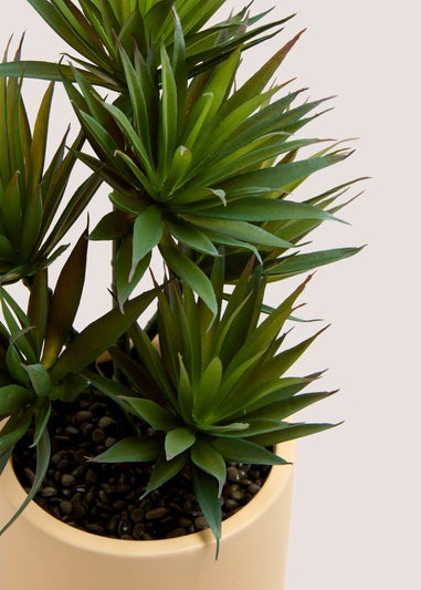 Yukka Ceramic Pot (46cm x 27cm x 22cm)