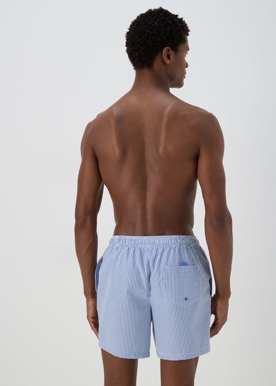 Blue Stripe Seersucker Swim Shorts