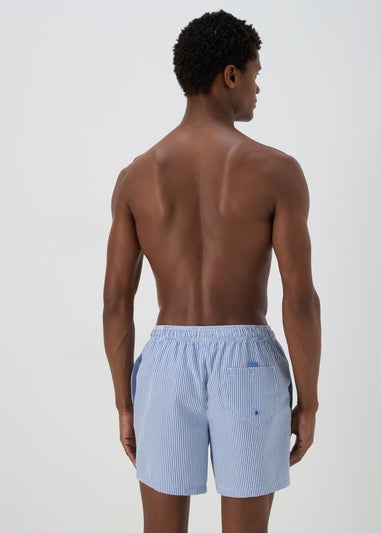 Blue Stripe Seersucker Swim Shorts