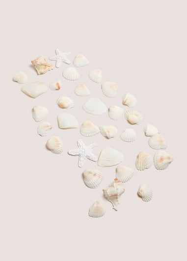 White Shell Bowl Fillers (14cm x 7cm x 7cm)