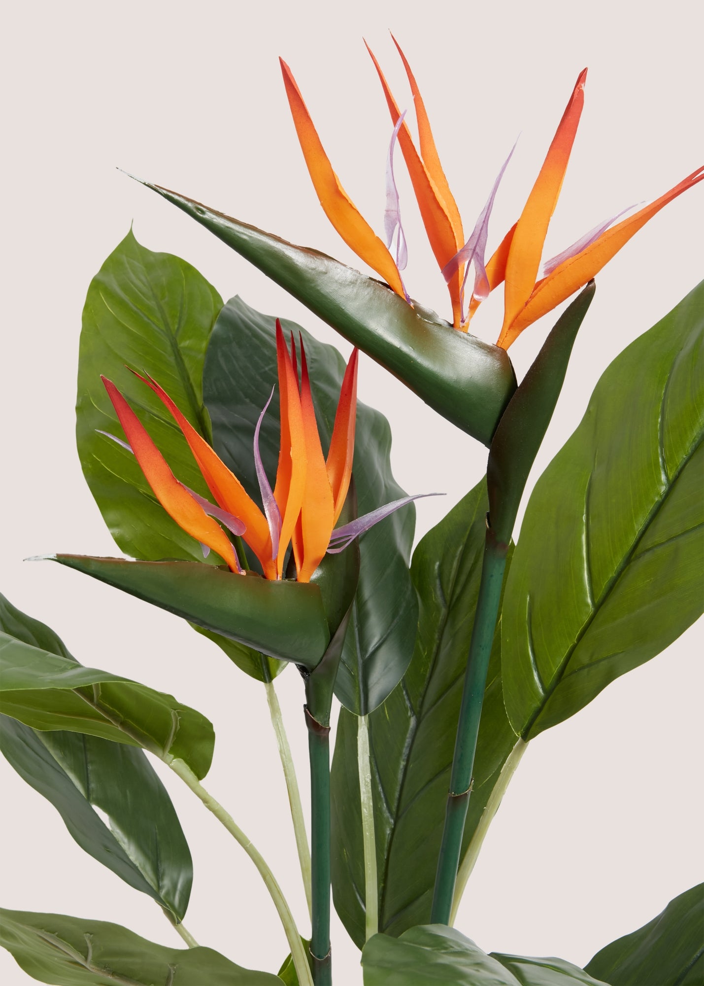 Faux Birds Of Paradise In Black Pot (100cm) - Matalan