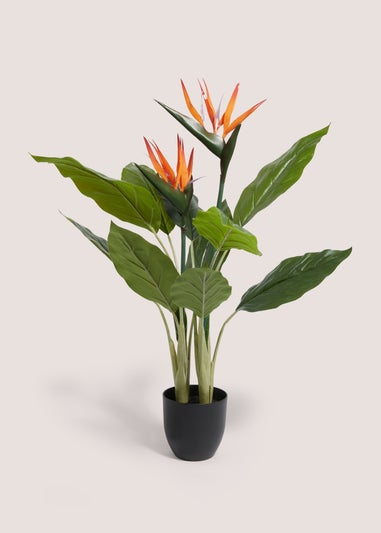 Faux Birds Of Paradise In Black Pot (100cm)