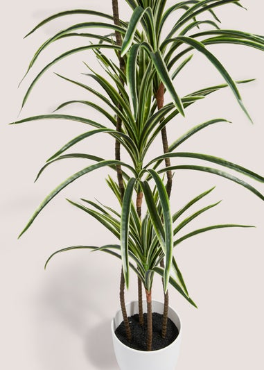 Faux Varigated Yukka Plant In White Pot (130cm)