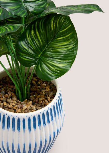 Leafy Plant In Blue Ribbed Pot (28cm x 15cm x 15cm)