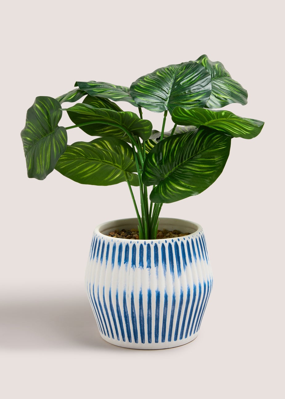 Leafy Plant In Blue Ribbed Pot (28cm x 15cm x 15cm)